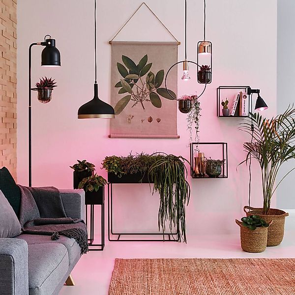 LED-Pflanzenlampe E14 R50 4W günstig online kaufen