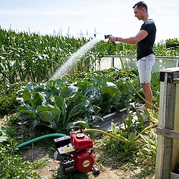 AL-KO Gartenpumpe "BMP 14001", 12.000 l/h max. Fördermenge günstig online kaufen