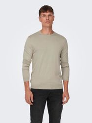 ONLY & SONS Rundhalspullover ONSWYLER LIFE günstig online kaufen