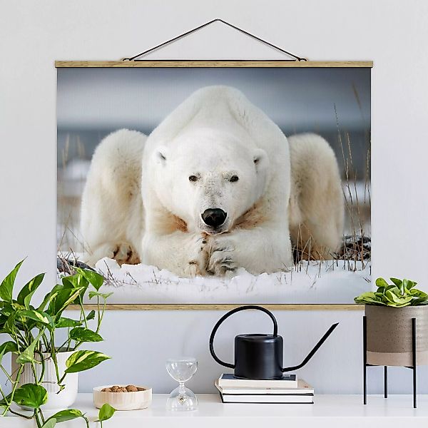 Stoffbild Tiere mit Posterleisten - Querformat Nachdenklicher Eisbär günstig online kaufen