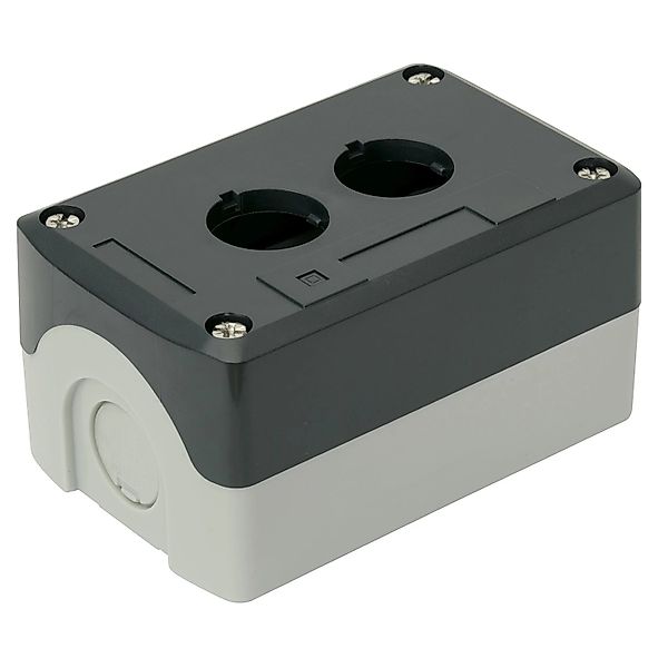 Blanko Schaltergehäuse Doppelt günstig online kaufen