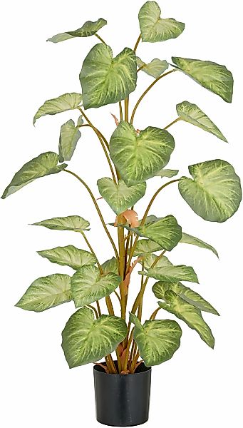 Creativ green Kunstpflanze "Syngonium", mit schönem Blattwerk günstig online kaufen