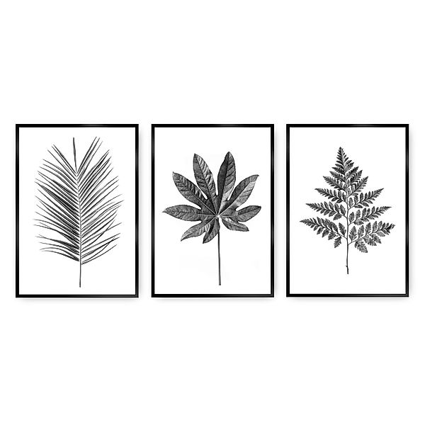 Bilder-Set Tropical Grey 3 Stck., 40 x 50 cm günstig online kaufen