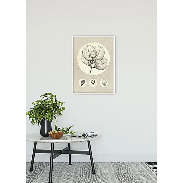 Komar Bild "Transparent Leaf" Blätter  Pflanzen 1 Stk. tlg. Wandbild zur De günstig online kaufen