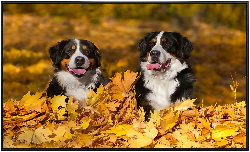 Papermoon Infrarotheizung »Hunde in Blätterhaufen«, sehr angenehme Strahlun günstig online kaufen