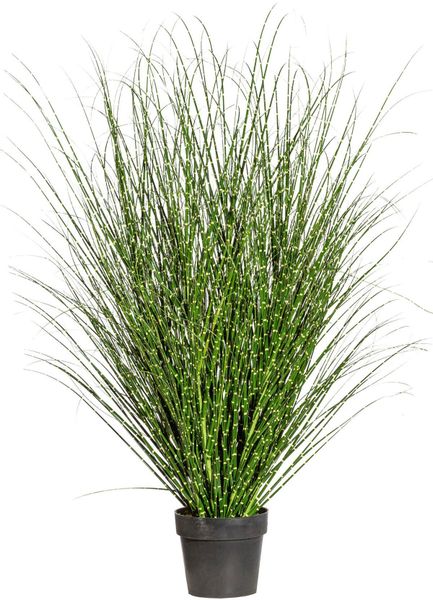 Kunstgras Miscanthus Zebrinus, Creativ green, Höhe günstig online kaufen