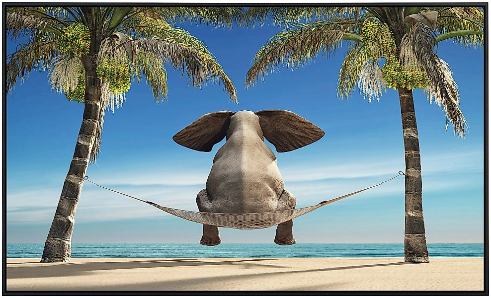 Papermoon Infrarotheizung »Elefant auf Hängematte an Strand« günstig online kaufen