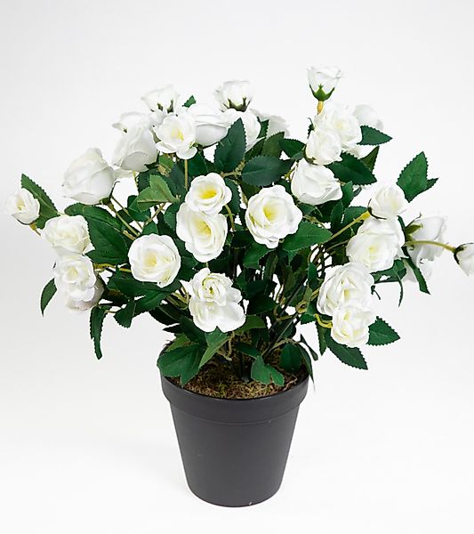 Kunstblume Rosenbusch 30cm im Topf ZF günstig online kaufen