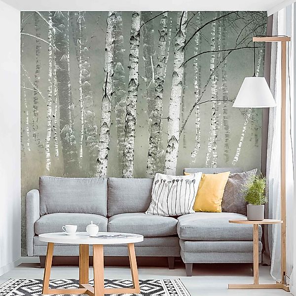 Bilderdepot24 Fototapete Wald Ruhender Birkenwald Natur günstig online kaufen