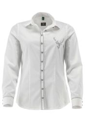 OS Trachten Trachtenbluse Slidix Tailliert, Haifischkragen, günstig online kaufen
