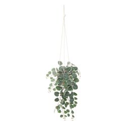 Kunstpflanze Zimmerpflanze, Atmosphera Créateur d'intérieur, Höhe günstig online kaufen