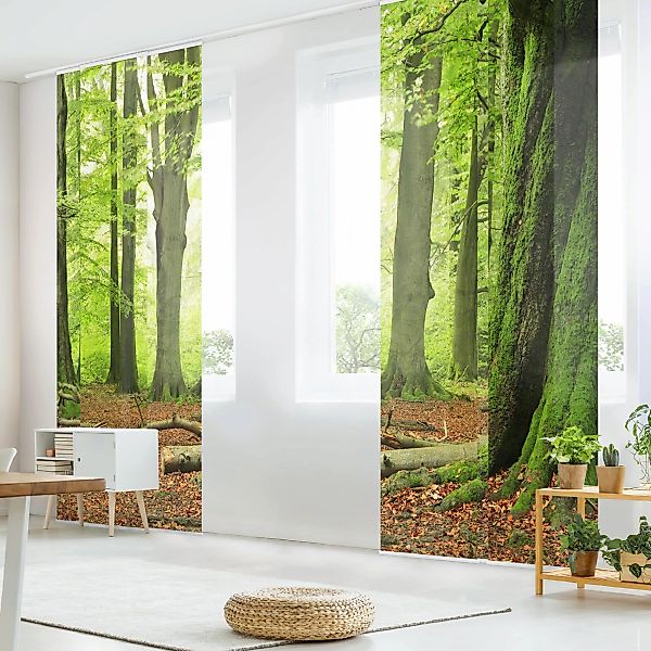 Schiebegardine Set Mighty Beech Trees günstig online kaufen