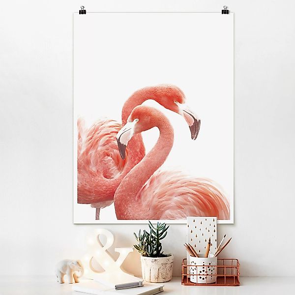 Poster Zwei Flamingos günstig online kaufen