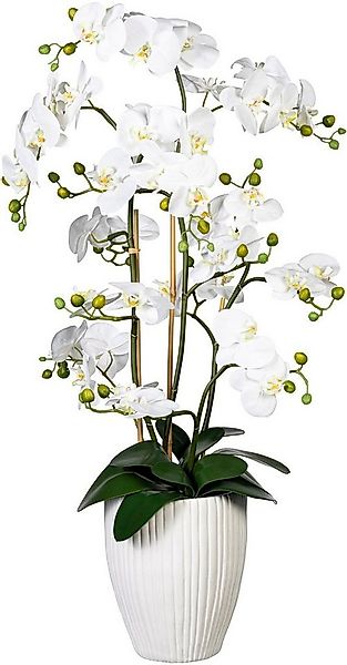 Kunstorchidee Deko-Orchidee Phalaenopsis XL im Keramiktopf Orchidee Phalaen günstig online kaufen