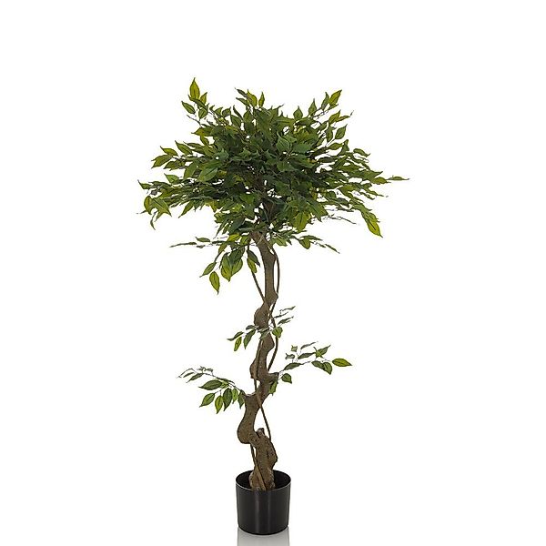 Kunstpflanze Kunstpflanze FICUS I Kunststoff, Stoff günstig online kaufen