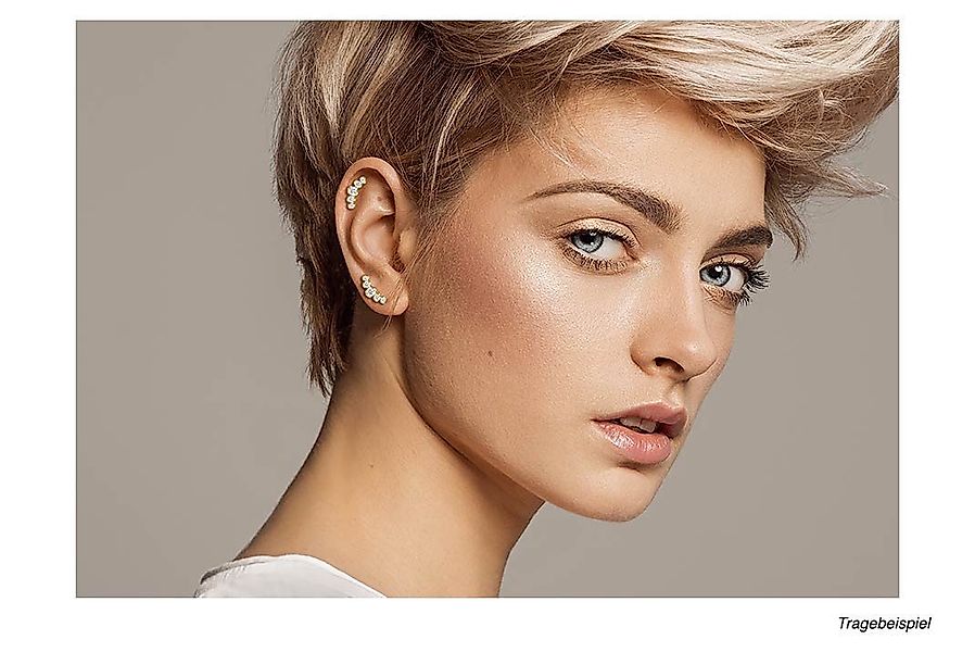 PIERCINGLINE Single-Ohrstecker Titan Ohrpiercing 5 EINGEFASSTE günstig online kaufen
