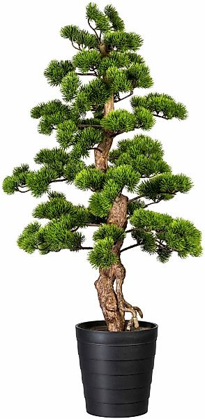 Creativ green Kunstbonsai "Bonsai Kiefer" günstig online kaufen