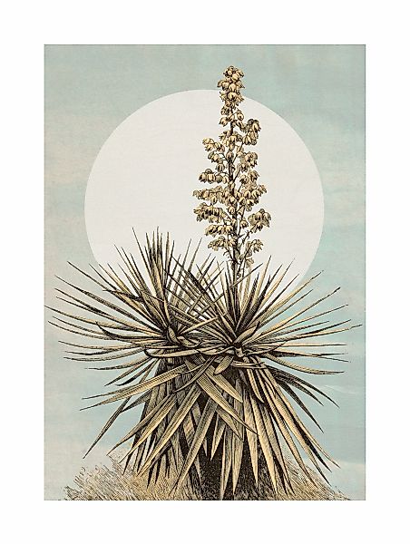 Komar Bild "Plans de Lagon" Natur 1 Stk. tlg. Wandbild zur Dekoration - ohn günstig online kaufen