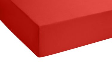 Biberna Spannbettlaken Marc, Jersey, Gummizug: rundum, günstig online kaufen