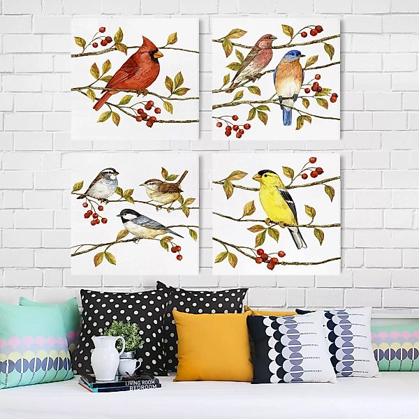 4-teiliges Leinwandbild Tiere - Quadrat Vögel und Beeren Set II günstig online kaufen