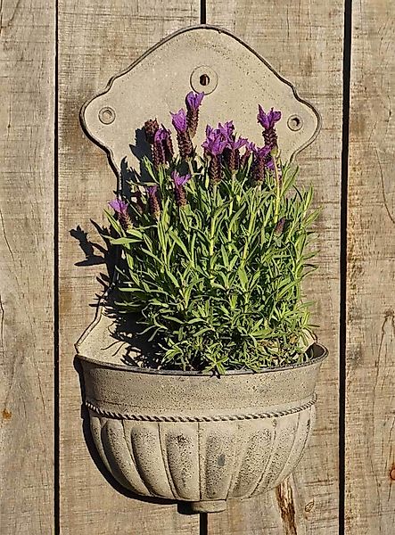 Wandbrunnen Eisen Grau Wand-Pflanzgefäß Wandtopf Antik-Stil Vintage 47cm günstig online kaufen
