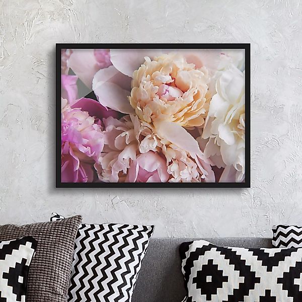 Bild mit Rahmen Blumen - Querformat Blühende Pfingstrosen günstig online kaufen