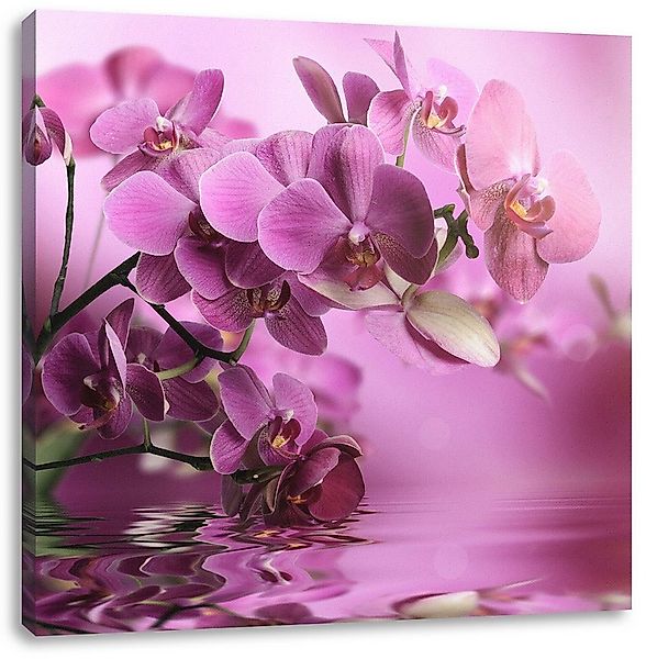 Pixxprint Leinwandbild Wunderschöne Orchideenblüten, Wunderschöne Orchideen günstig online kaufen