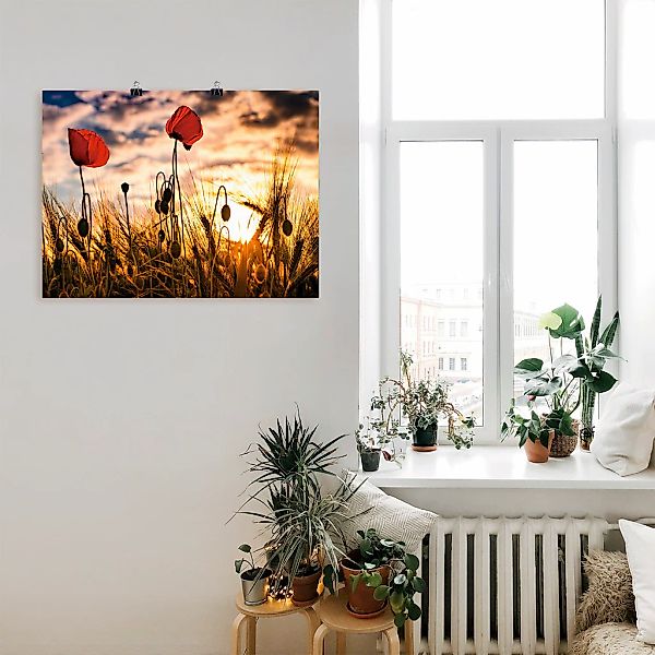 Artland Wandbild "Mohnblumen im Sonnenuntergang", Blumen, (1 St.), als Alub günstig online kaufen