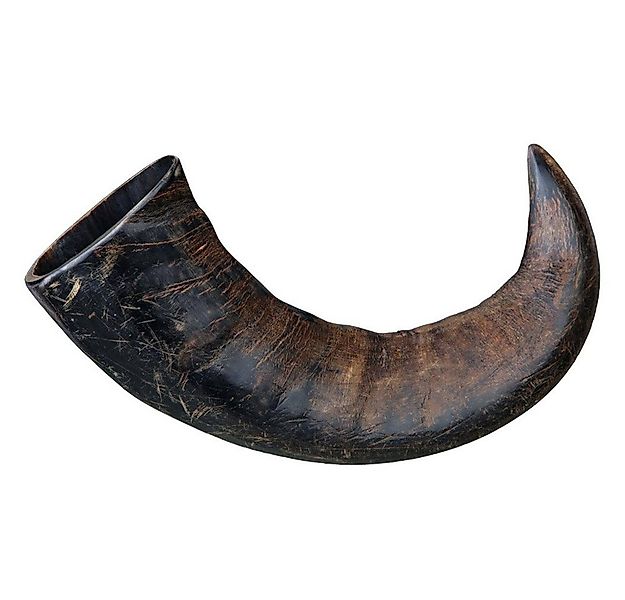 TRIXIE Kauspielzeug Büffel-Kauhorn günstig online kaufen