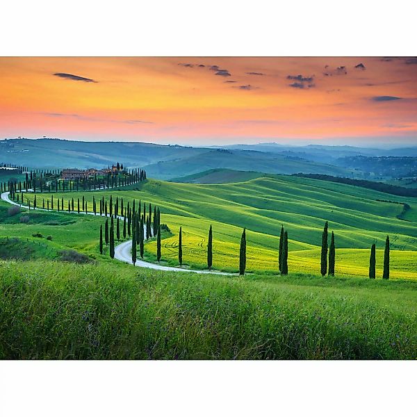 Fototapete Toskana Landschaft Grün Orange Gelb 3,50 m x 2,55 m FSC® günstig online kaufen