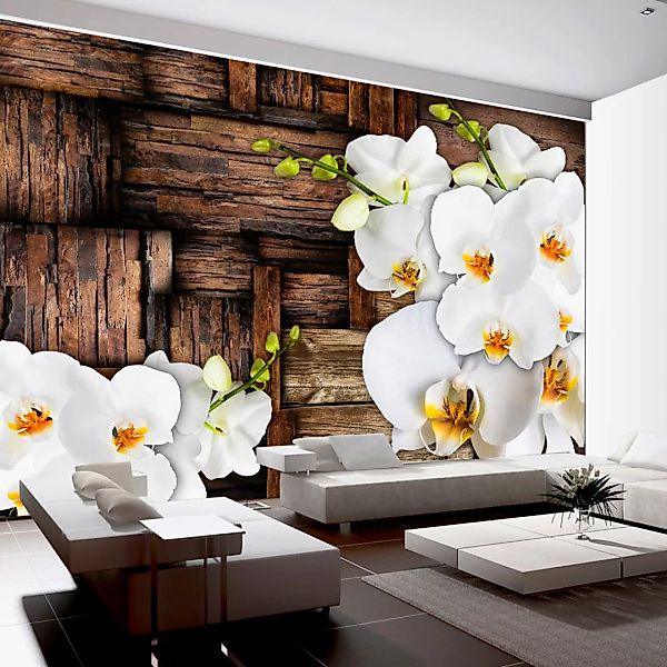 Fototapete - Blooming Orchids günstig online kaufen