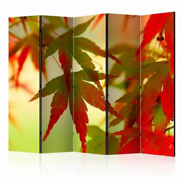 artgeist Paravent Colourful leaves II [Room Dividers] mehrfarbig Gr. 225 x günstig online kaufen