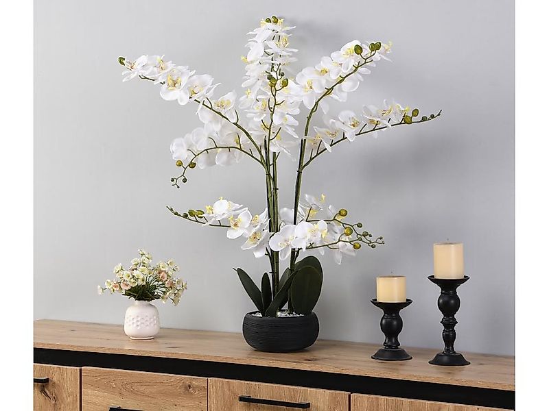 Kunstpflanze Orchidee mit Zementtopf - 65 x 54 cm- Weiß -TARA günstig online kaufen
