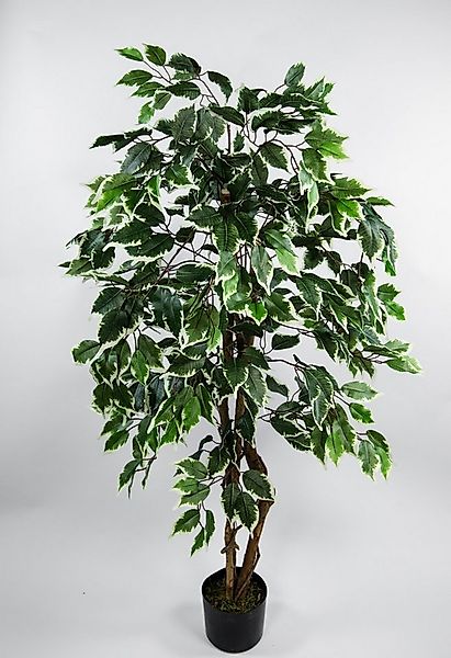 Kunstbaum Ficus Excotica 120cm DA Kunstbaum Baum Kunstpflanzen künstliche B günstig online kaufen