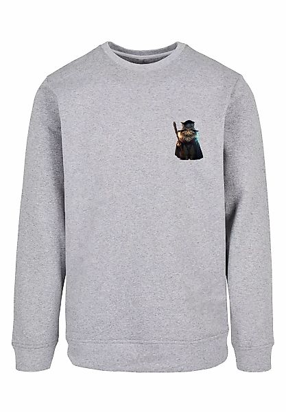 F4NT4STIC Kapuzenpullover "Wizard Cat CREW", Print günstig online kaufen