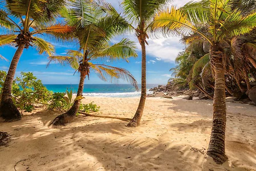 Papermoon Fototapete »PALMEN-STRAND-KARIBIK SÜDSEE MEER DÜNEN SONNE OZEAN X günstig online kaufen
