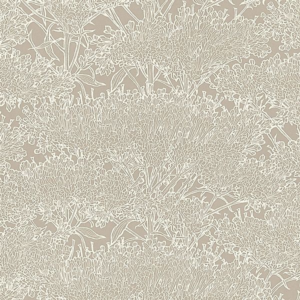 Bricoflor Florale Tapete in Beige und Weiß Moderne Blumentapete für Büro un günstig online kaufen