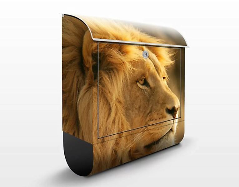 Briefkasten Tiere Löwenkönig günstig online kaufen