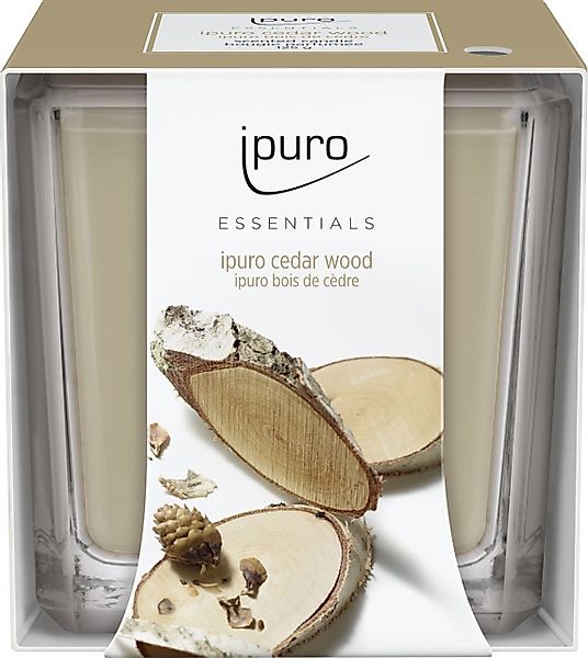 IPURO Duftkerze ipuro ESSENTIALS Duftkerze Cedar günstig online kaufen