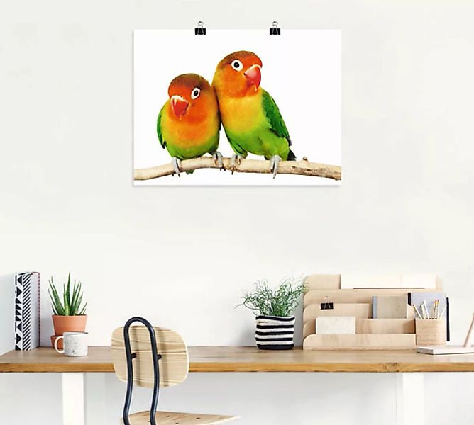 Artland Wandbild "Paar von Grauköpfchen - Papageien", Vögel, (1 St.) günstig online kaufen