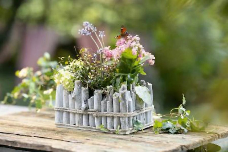 HOME Living Pflanzer White-Shabby Blumentöpfe weiß günstig online kaufen