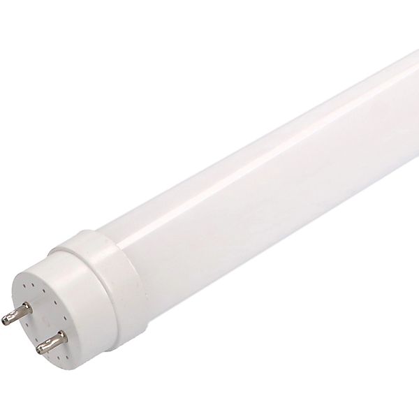 LED's light Basic LED-Leuchtmittel 0610721 LED-Röhre, günstig online kaufen