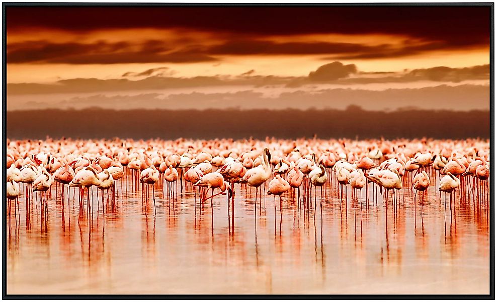 Papermoon Infrarotheizung »Afrikanische Flamingos«, sehr angenehme Strahlun günstig online kaufen