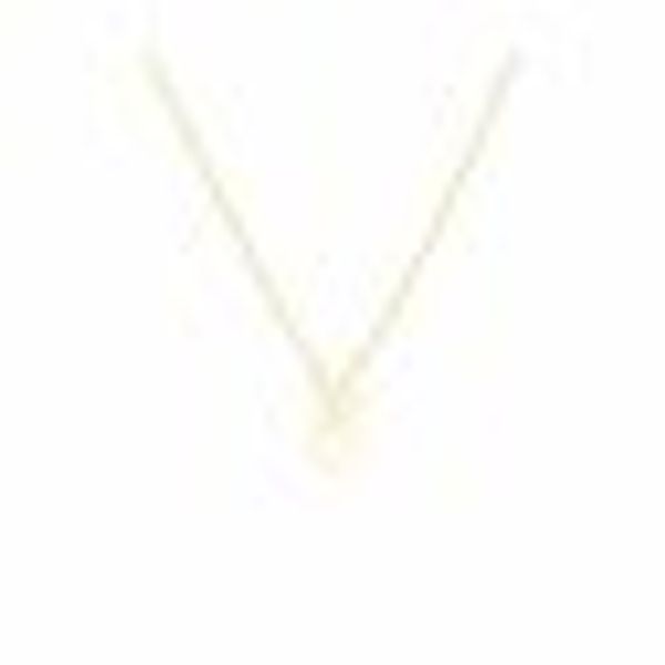 Anhänger mit Kette 925-Sterling Silber vergoldet Glänzend 42cm Stier günstig online kaufen