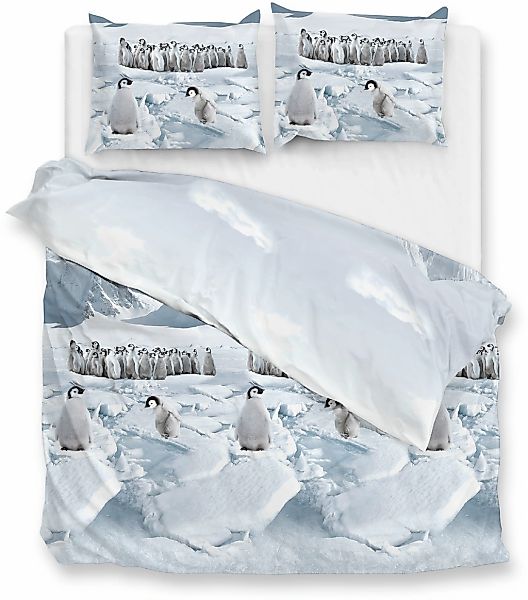 ZO HOME Bettwäsche "Pinguini" 1 tlg. Bettwäsche aus 100% Baumwolle, hochwer günstig online kaufen