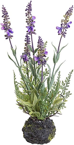 Botanic-Haus Künstliche Zimmerpflanze "Lavendel" günstig online kaufen