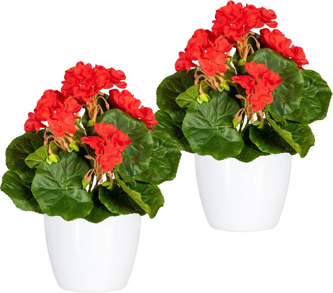 Home affaire Kunstpflanze "Havel" im Topf, 2er Set günstig online kaufen