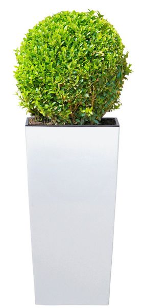 Prosperplast Blumentopf Urbi Square 325, BxTxH: günstig online kaufen