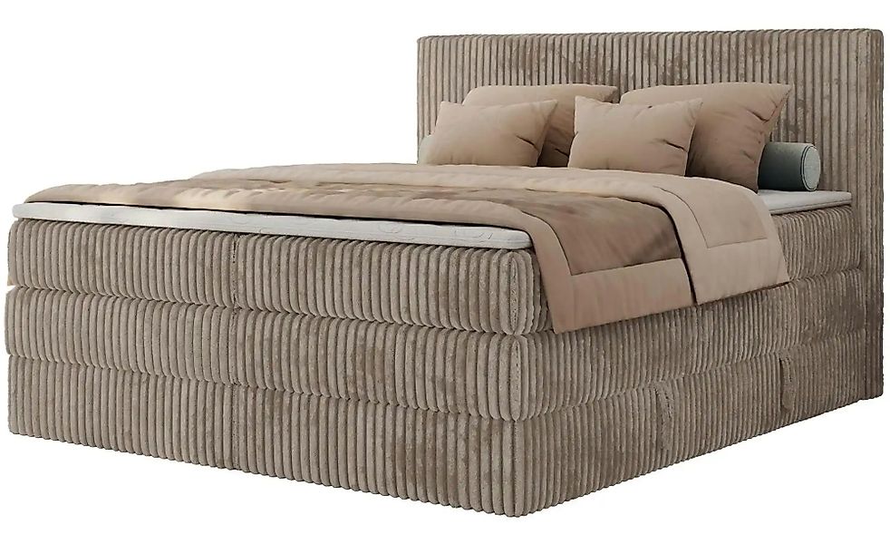 Boxspringbett mit Bettkasten Tiliano King ¦ braun ¦ Maße (cm): B: 146 H: 11 günstig online kaufen