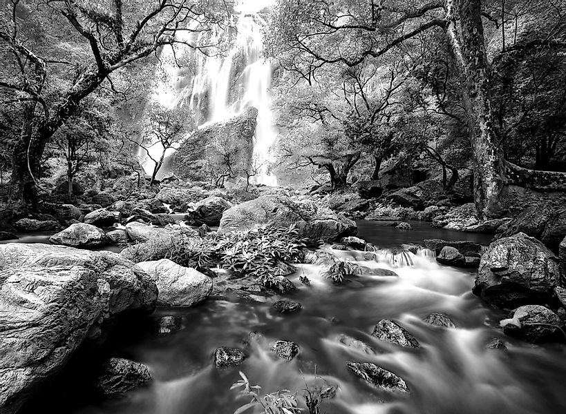Papermoon Fototapete "Wasserfall im Wald Schwarz & Weiß" günstig online kaufen